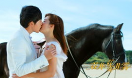 花非花电视剧,爱恨交织的宫廷传奇