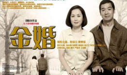 金婚电视剧免费观看,免费观看见证爱情五十载